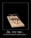 Фотография Терентьевой Натальи