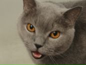 Фотография Пустоваловой Марианны