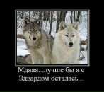 Сергій Притула фотография #14 (источник - https://vk.com/id105081679)