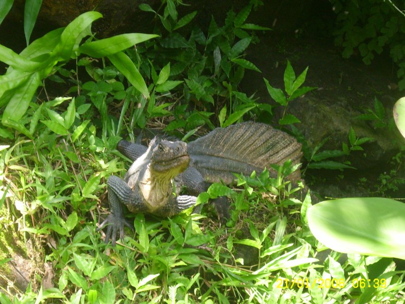 Viktor Ivanov фотография #40