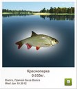 Сергій Петрик фотография #19 (источник - https://vk.com/id151945020)