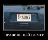 Ілля Мамонов фотография #39 (источник - https://vk.com/id18538830)