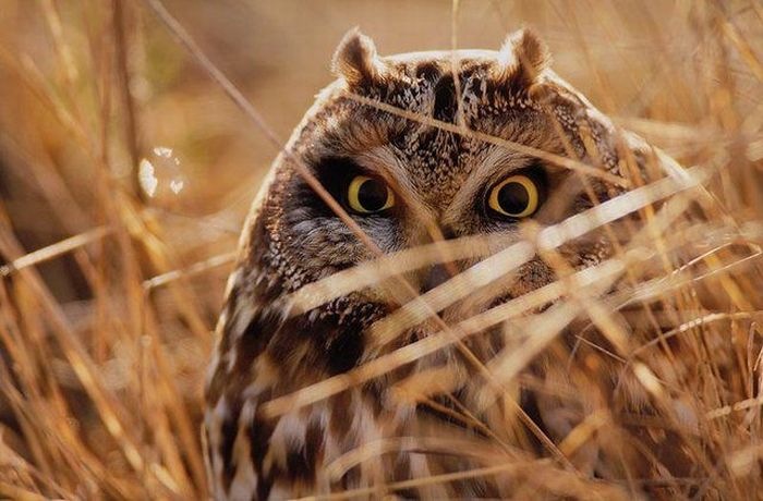 Дмитрий Усачев фотография #2