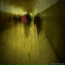 Фотография Шишкина Амадея