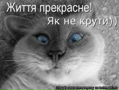 Іра Білик фотография #7 (источник - https://vk.com/id58383182)
