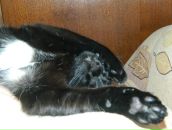 Фотография Стародумовой Анастасии