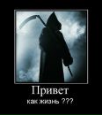Вася Білан фотография #41 (источник - https://vk.com/id68654311)