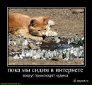 Фотография Мулыкиной Светы