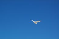 Фотография Окорочковой Анастасии