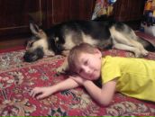 Фотография Ежова Алексея