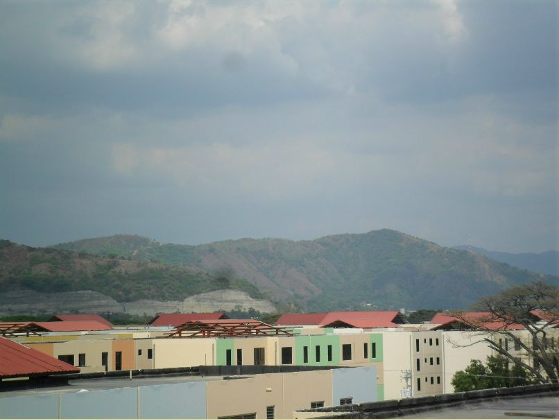 Дмитрий Данилькевич фотография #29