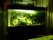 Фотография Мещеряков Эдуард