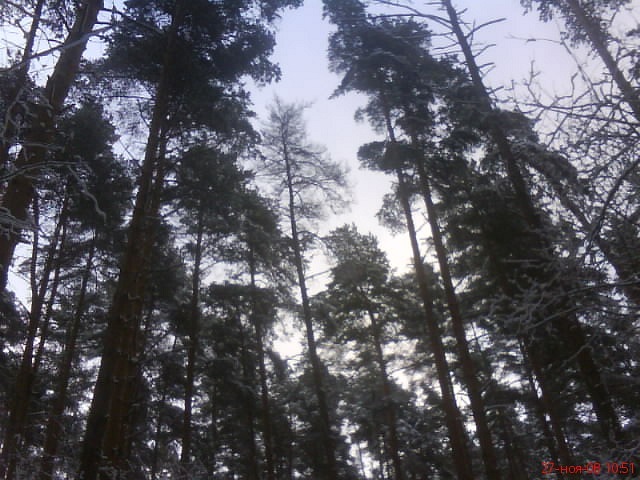 Егор Орлов фотография #24