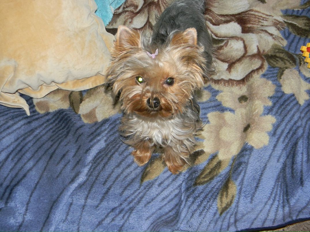 Вован Sid фотография #33