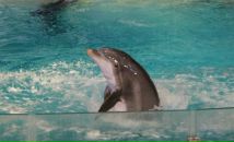 Фотография Протасова Александра