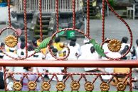 Катя Мищенко фотография #39 (источник - https://vk.com/id19178)