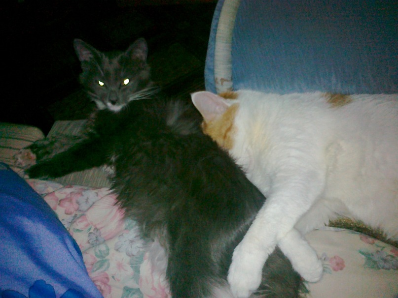 Дмитрий Валкерь фотография #29