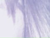 Виктория Алексеевна фотография #21 (источник - https://vk.com/id84984199)