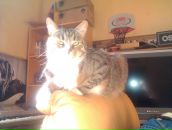 Фотография Савостина Сергея