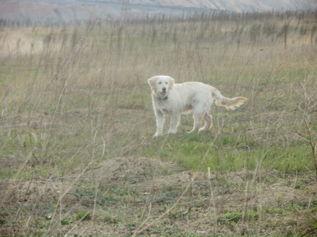 Иван Мозоля фотография #41