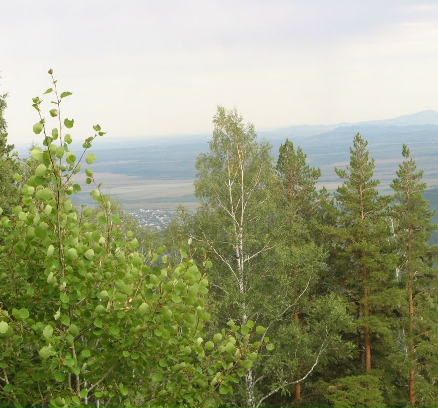 Евгений Ермаков фотография #6