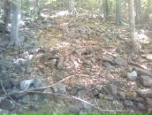 Ваня Ігнатенко фотография #19 (источник - https://vk.com/id35069059)