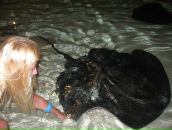 Анна Урусова фотография #29 (источник - https://vk.com/id722941)