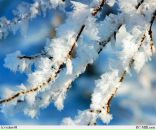 Фотография Афанасьевой Елены