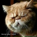 Фотография Ждановой Елены