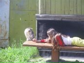 Настя Ефименкова фотография #28 (источник - https://vk.com/id121857092)