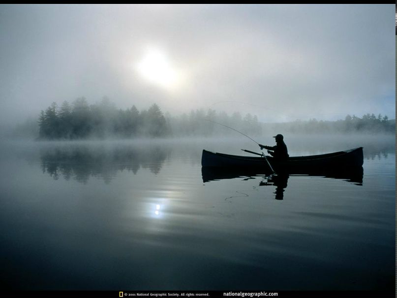 Дмитрий Гребенников фотография #6