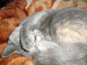 Фотография Сидоровой Ольги