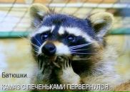 Фотография Зверевой Ольги