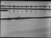 Фотография Тим Алисы