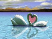 Mehmet Güneş фотография #1