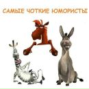 Ігор Карий фотография #28 (источник - https://vk.com/id75001237)