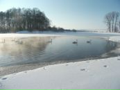 Наталія Матвійчук фотография #39 (источник - https://vk.com/id131956007)