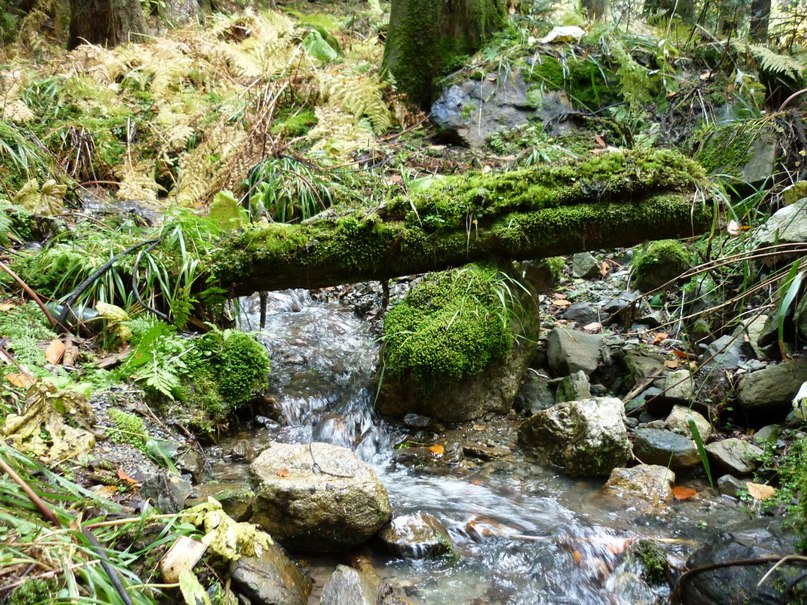 Иван Синицын фотография #10