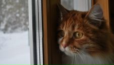 Фотография Шатохиной Жени