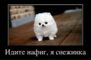 Віктор Шевчук фотография #2 (источник - https://vk.com/id159713161)