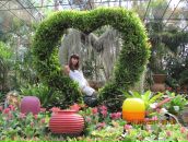 Фотография  