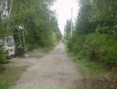 Фотография Илюшина Тимофея