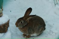 Фотография Шилиной Юлии