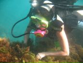 Фотография Погребняк Татьяны