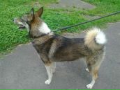 Лайма Ремінська фотография #14 (источник - https://vk.com/id108747419)