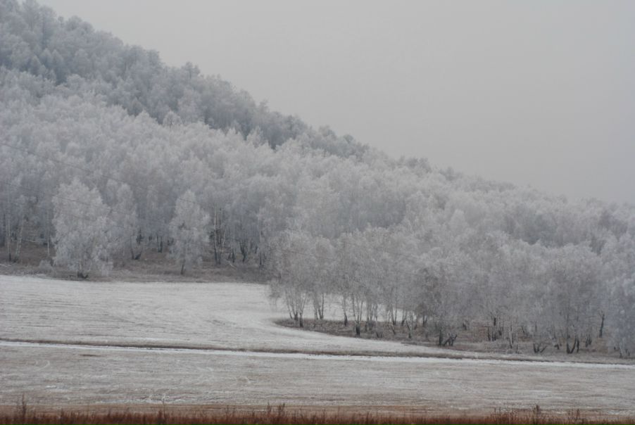 Yuri Bishaev фото №15