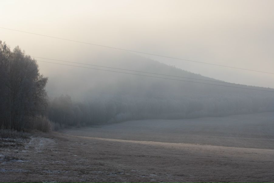 Yuri Bishaev фото №11