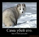 Іван Меланчук фотография #13 (источник - https://vk.com/id65843770)