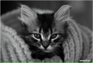 Фотография Илакиной Ани