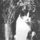 Фотография Павлова Дмитрия